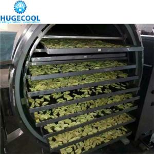 China Automatic Control Vacuum Freeze Drying Machine , Freeze Dried Food Dryer on sale