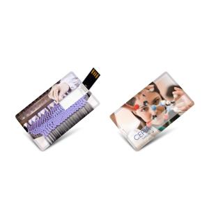 CMYK Logo UV Colorful Print Credit Card USB Sticks 2.0 3.0 15MB/S