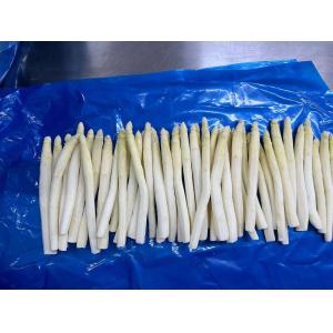 Wholesale IQF Vegetable IQF Frozen White Asparagus Spear From China