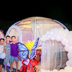 PC Polycarbonate 6m Geodesic Dome Transparent Tent For Hotel