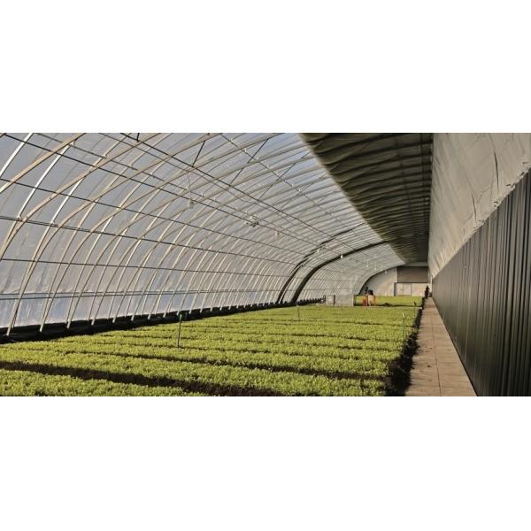 Sunlight Greenhouse Vegetable Production Seeding