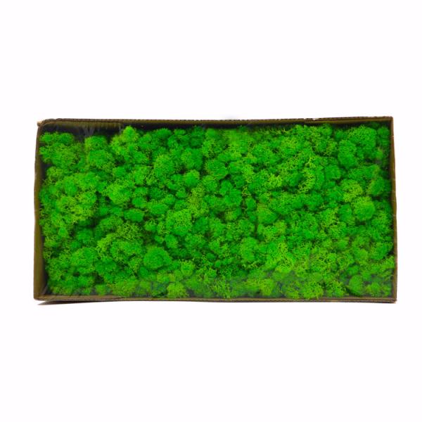 Quality Multiple Colors Interior Decoration Preserved Green Wall With Simple Structure wholesale