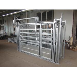 China Heavy Duty Cattle Farm Equipment Sheep Weighing Scales ISO9001 Approval on sale