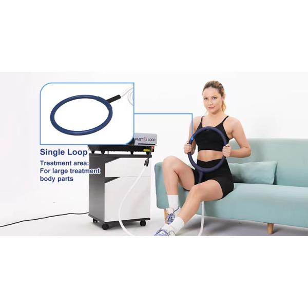 Professional Pemf Therapy Magneto Equines Pmst Loop Portable Magnetotherapy Pemf Therapy Machine For Horses