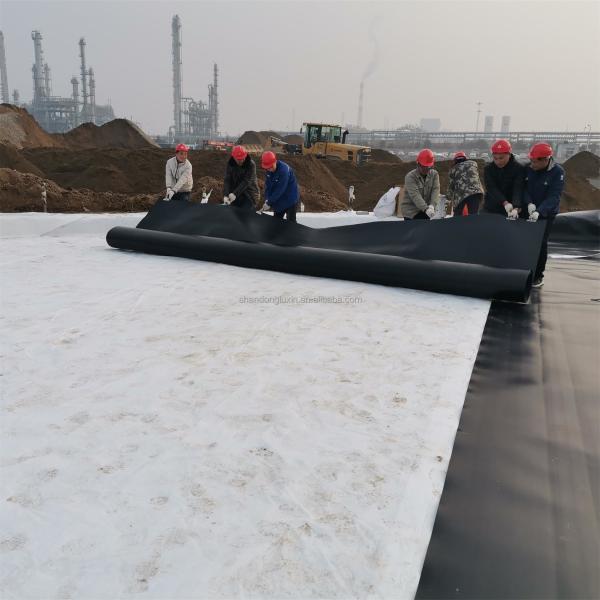 Foldable Geomembrane Fish Pond Liner in Black or Customized Color for Crawfish