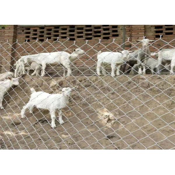 Quality ODM Smooth Surface Diamond Chain Link Fence 5x5 Inch PVC Coated wholesale