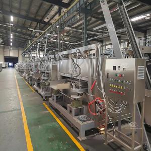Fully Automatic Peanut Coating Baking And Seasoning Production Line Coating