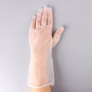 China Powder Free Disposable PVC Gloves For Preventing Bacteria / Virus on sale