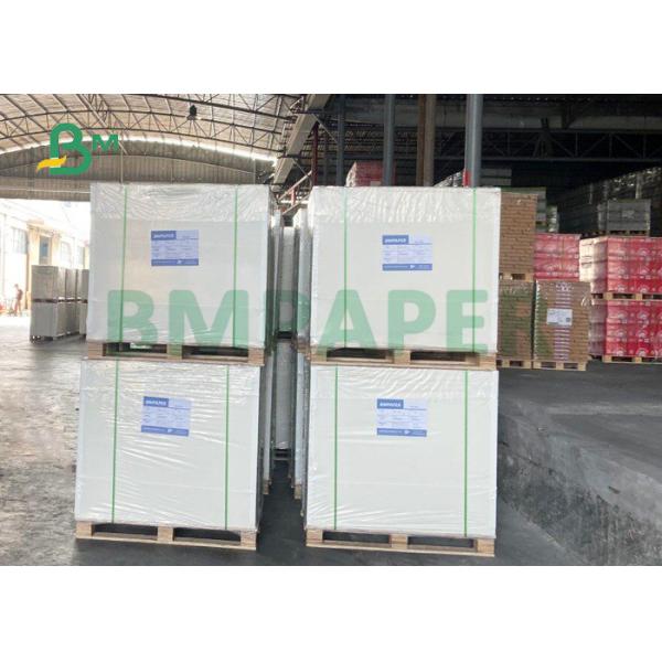 Quality 230g + 15g PE Laminated Cardboard For Paper Cups 720mm 882mm Waterproof wholesale