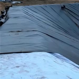 Geomembranes with Patterns 1mm 2mm Thickness Length 50-100m ASTM GRI-GM13