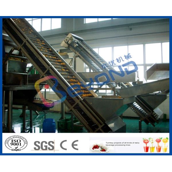 Quality Fruit Processing Industry Fruit Conveying Machine For Juice Processing Plant wholesale