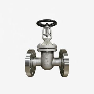 6 Inch 5A-2500 Class Dual Stainless Steel Gate Valve with Middle Bolt Design for