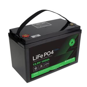 ODM 12v LFP Lifepo4 Lithium Battery 100ah 200ah 6000 Cycle