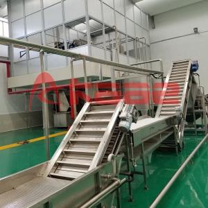 15T/H Automatic Fruit Sorting Machine Vegetable Grading Orange Sorting Machine