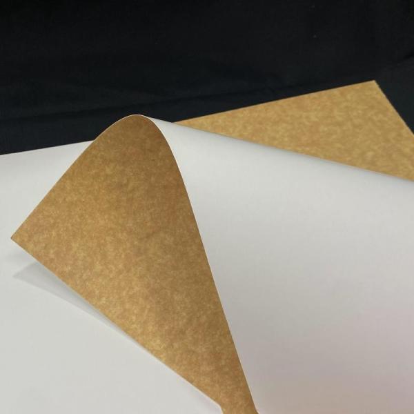 Quality Degradable China Paper Factory Kraft Board For Takeaway Food Boxes wholesale