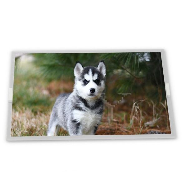 SP10Q010-T LCD 3.8-Inch WLED LCD Display Module with 320*240 Resolution LCD