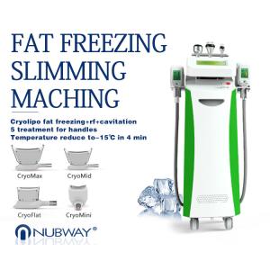 Cheap 2018 best model factory price cryolipolysis device fat freeze body slimming machine for salon for sale