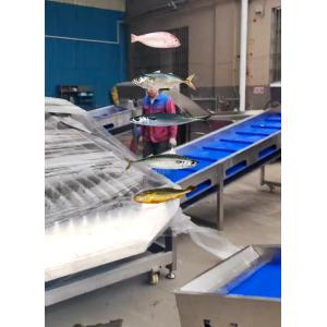 Most Accurate Pelagic Fish Grading Line And Sorting Other Small Fish With Automatic