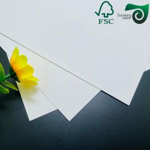 Single Side Coating Ivory Board With Roll Width And 100% Virgin Wood Pulp