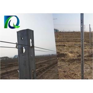 China 3.0mm U Type 275G Zinc Metal Orchard Trellis Post on sale