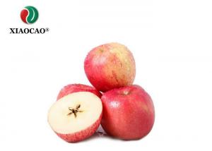 Cheap Organic Spray Freeze Dried Powder Apple Juice Concentrate Powder Apple Flavor Powder for sale