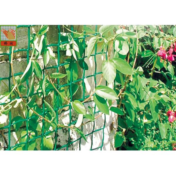 Plastic Garden Netting For Climbing Plants , Garden Fence Roll With UV