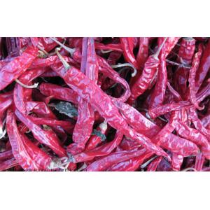 Stemless Erjingtiao Dried Chilis Sterilized Whole Chillies Pungent
