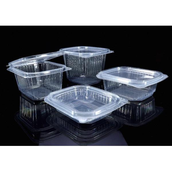 Quality Customized square fruit salad box food grade transparent disposable takeaway sauce packaging box wholesale