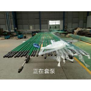 China Coalbed Gas API Standard Plunger 8ft Srp Pump on sale