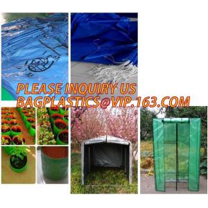 China PE Tarpaulin Factory with Manufacture Price,HDPE Woven Fabric Tarpaulin,