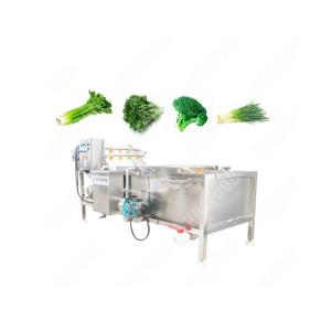 Home Use Manual Fruit And Vegetable Washing Machine Iso
