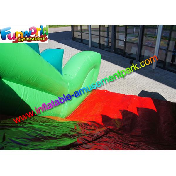 Adults Inflatable Crocodile Slide Commercial Outdoor Dry Slide Giant