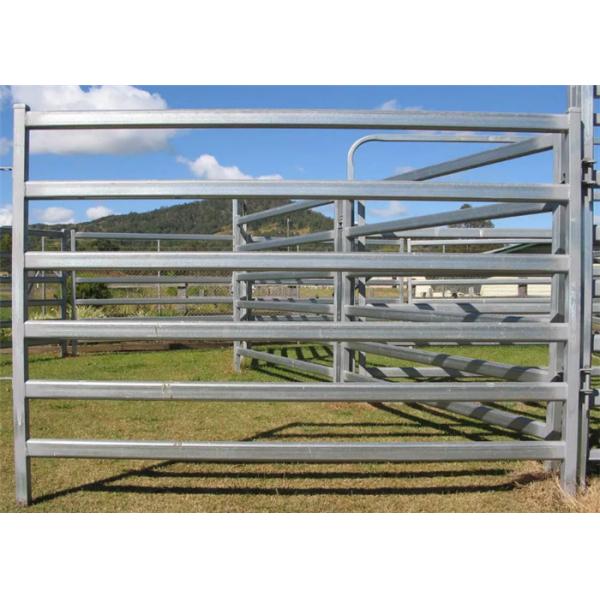 Quality High Durable Cattle Yard Panels / Portable Gate Panels With Galvanized Pipe wholesale