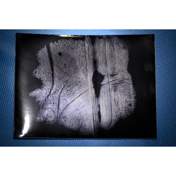 C189 Black gelatin palm print lifter