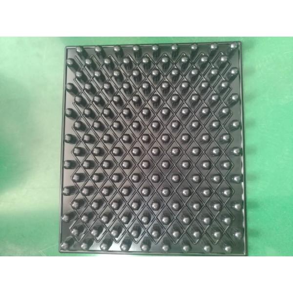 Quality blister trays for seeding PS wholesale