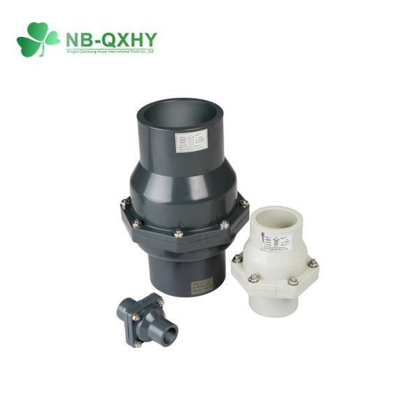 150 Psi PVC Swing Check Valve with Connector Property and Ddcv Double Lobe