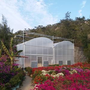 Single Layer PE Ground Cover for IGreen Greenhouse's Steam-Greenhouse Roofing