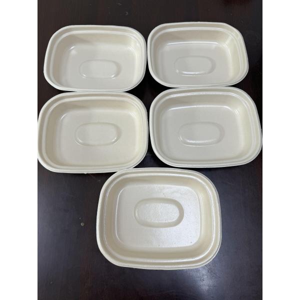 Single-station Spin Coating Machine For Pulp Molding Fiber With Barrier Coat