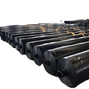 Cheap 50m-100m/roll Length Anti-Aging Geomembrane for Fish Ponds Online Technical Support for sale