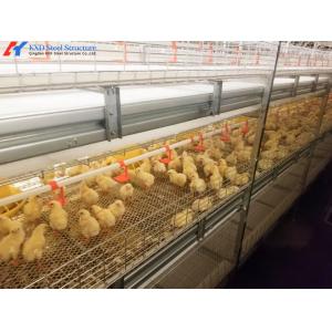 China Customized Broiler Chicken Shed A Type H Type Automatic Chicken House Equipment on sale