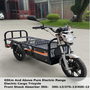 China 65Km And Above Pure Electric Range Electric Cargo Tricycle with Hydraulic Braking Front Shock Absorber 350-12/375-12/400-12 on sale