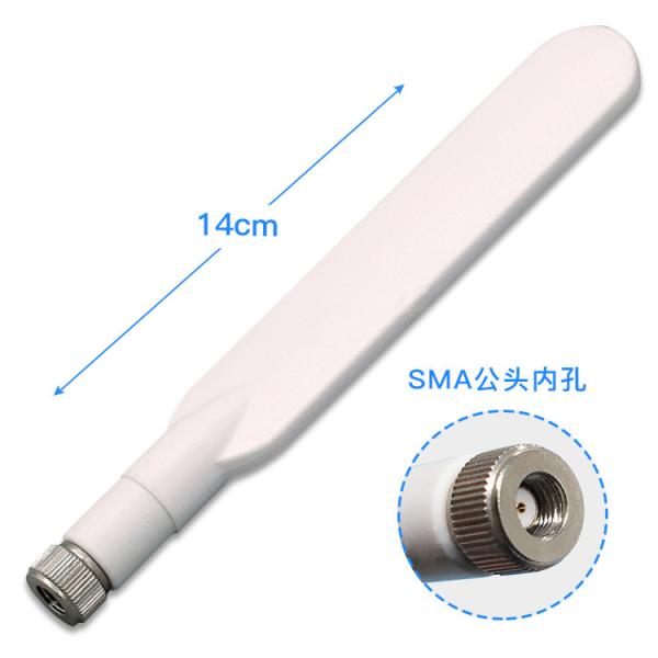 Quality 6dBi  2.4G 5.8G Omni Wifi Antenna wholesale