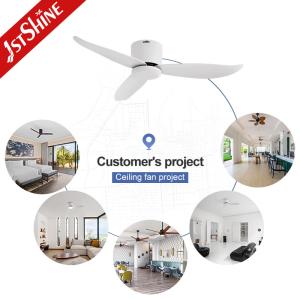 Flush Mount Design 2-in-1 Ceiling Fan Optional LED Light for 220V Voltage and