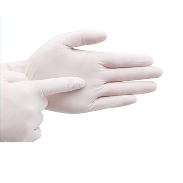 Quality Biochemical Laboratories 4mil Disposable Exam Gloves wholesale