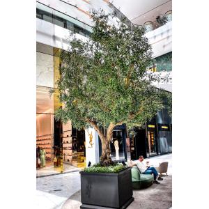 20m Height Artificial Olive Tree Custom Shape Natural Looking Frabric Leaves