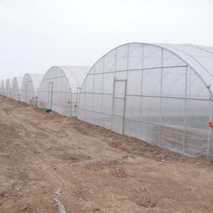 Cheap Single-Span Agricultural Greenhouses Solution for Growing Produce for sale