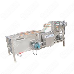 Cost-Effective Ozone Vegetable Washing Machine Single