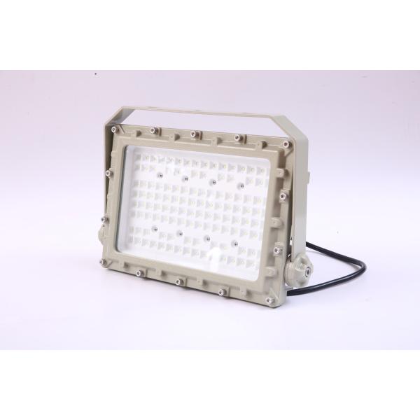 Ceiling Mounting Explosion Resistant LED Flood Light for Explosive Gas