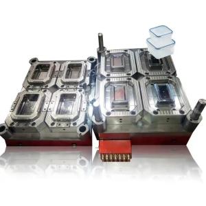 Multi Cavity Plastics Injection Mold With H13
