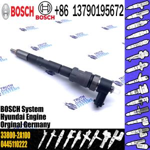 Fuel Injector Assembly 0 445 110 229/223 33800-2A100 0445110229 0445110223 Auto